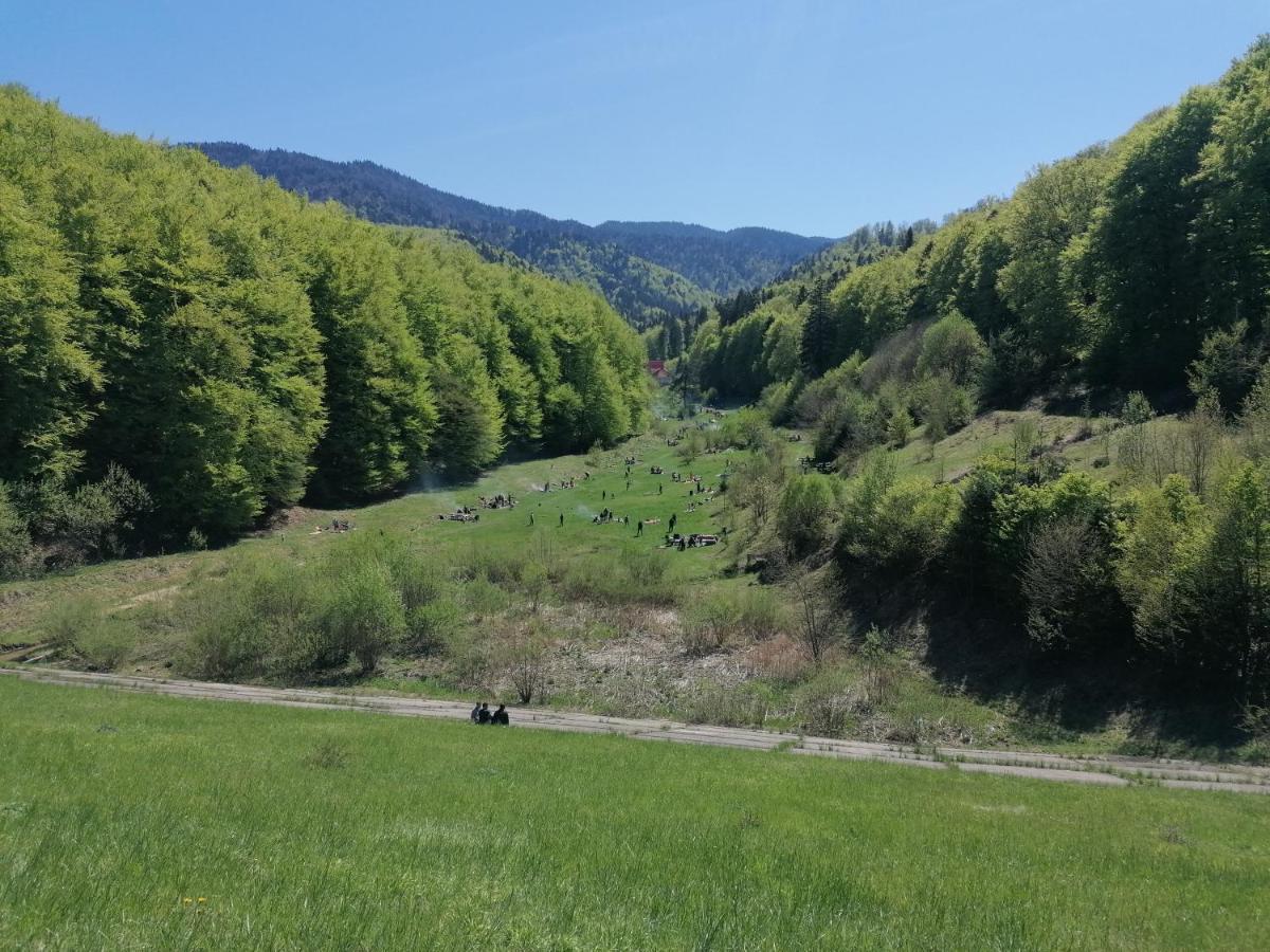 Apartament Racadau Brasov Bagian luar foto